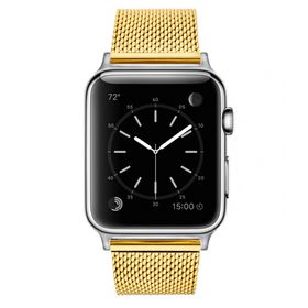 apple watch gold stainless