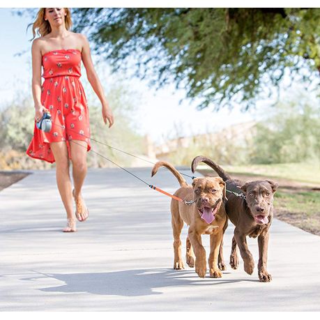 Dual on sale pet leash