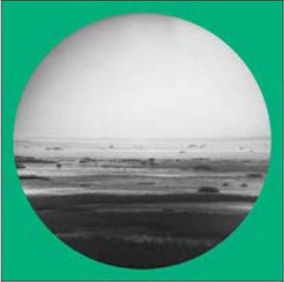 Chik White - Guts Magnet Sea (CD)