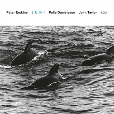 Peter Erskine - Juni (CD)