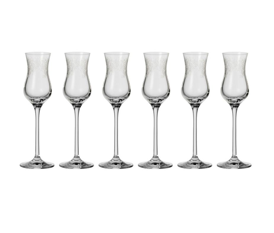 Leonardo Grappa Liqueur Glass CHATEAU 90ml Set of 6 Buy Online in
