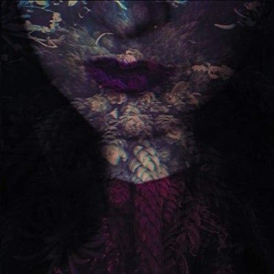 Hante. - Fierce (Vinyl)