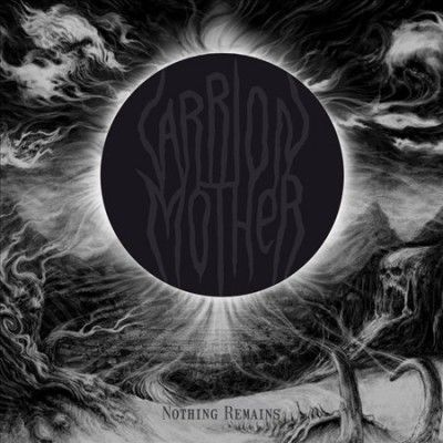 Nothing Remains (Vinyl / 12" Album)