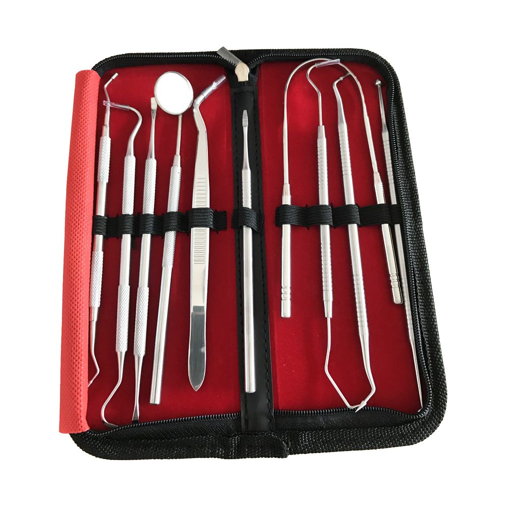 10 in 1 Professional Stainless Steel Dental Tools Kit Shop Today. Get