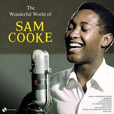 Sam Cooke - Wonderful World Of Sam Cooke (Vinyl)
