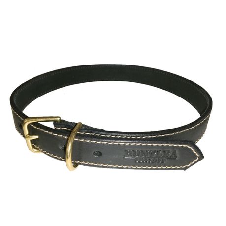 Dog collars takealot Clearance