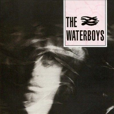 Waterboys - Waterboys (CD)