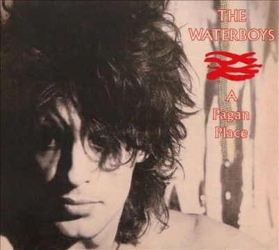 Waterboys - Pagan Place (CD)