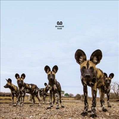 Fever (Vinyl / 12" Album)