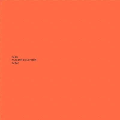 F.S. Blumm - Tag Eins Tag Zwei (Vinyl)