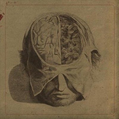 Farsot - Insects (Vinyl)