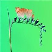 Flume - Skin Companion Ep I (Vinyl)