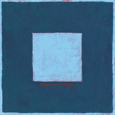 Pinegrove - Skylight (Vinyl)