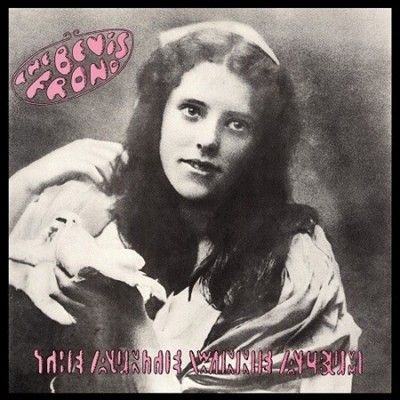 Bevis Frond - Auntie Winnie Album (Vinyl)