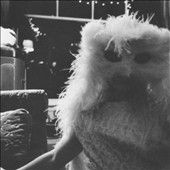 Fruit Bats - Glory Of Fruit Bats (Vinyl)