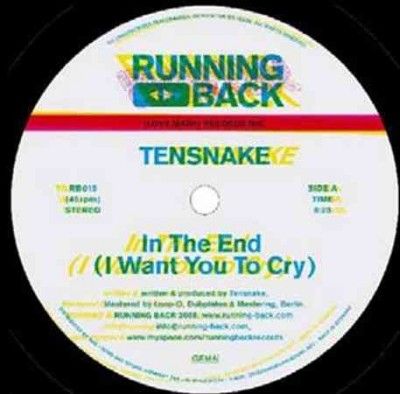 Tensnake - In The End (i Want You To Cry) (Vinyl)