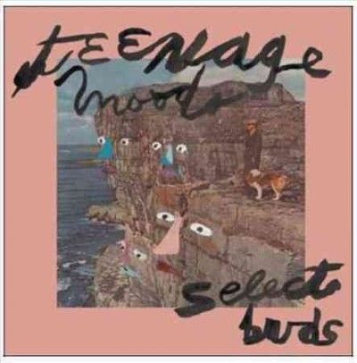 Teenage Moods - Select Buds (Vinyl)