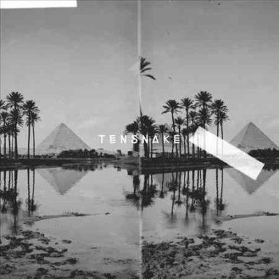 Tensnake - Desire (Vinyl)