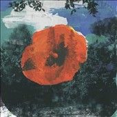 Mystic Braves - Great Unknown (Vinyl)