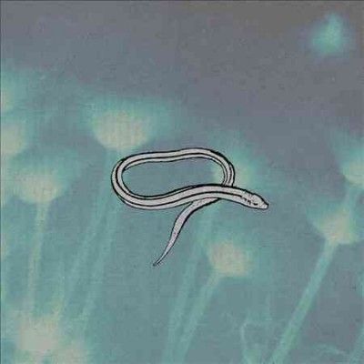 Crooked Fingers - Bring On The Snakes (Vinyl)