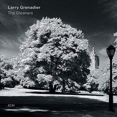 Larry Grenadier - Gleaners (Vinyl)