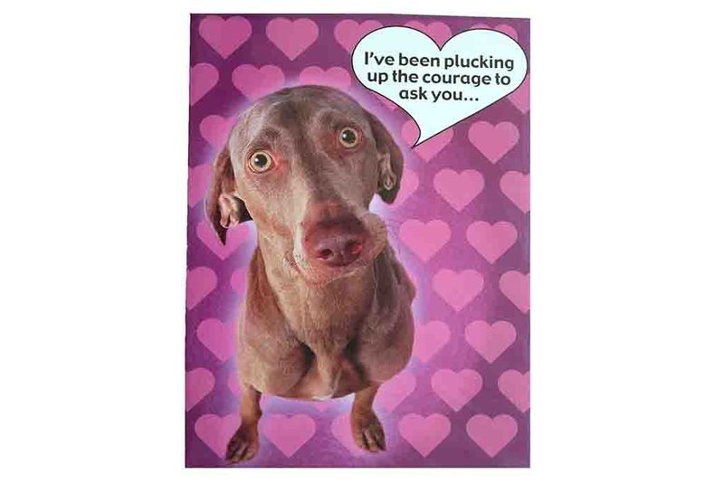 I've been Plucking up the Courage to ask you, Valentines Card