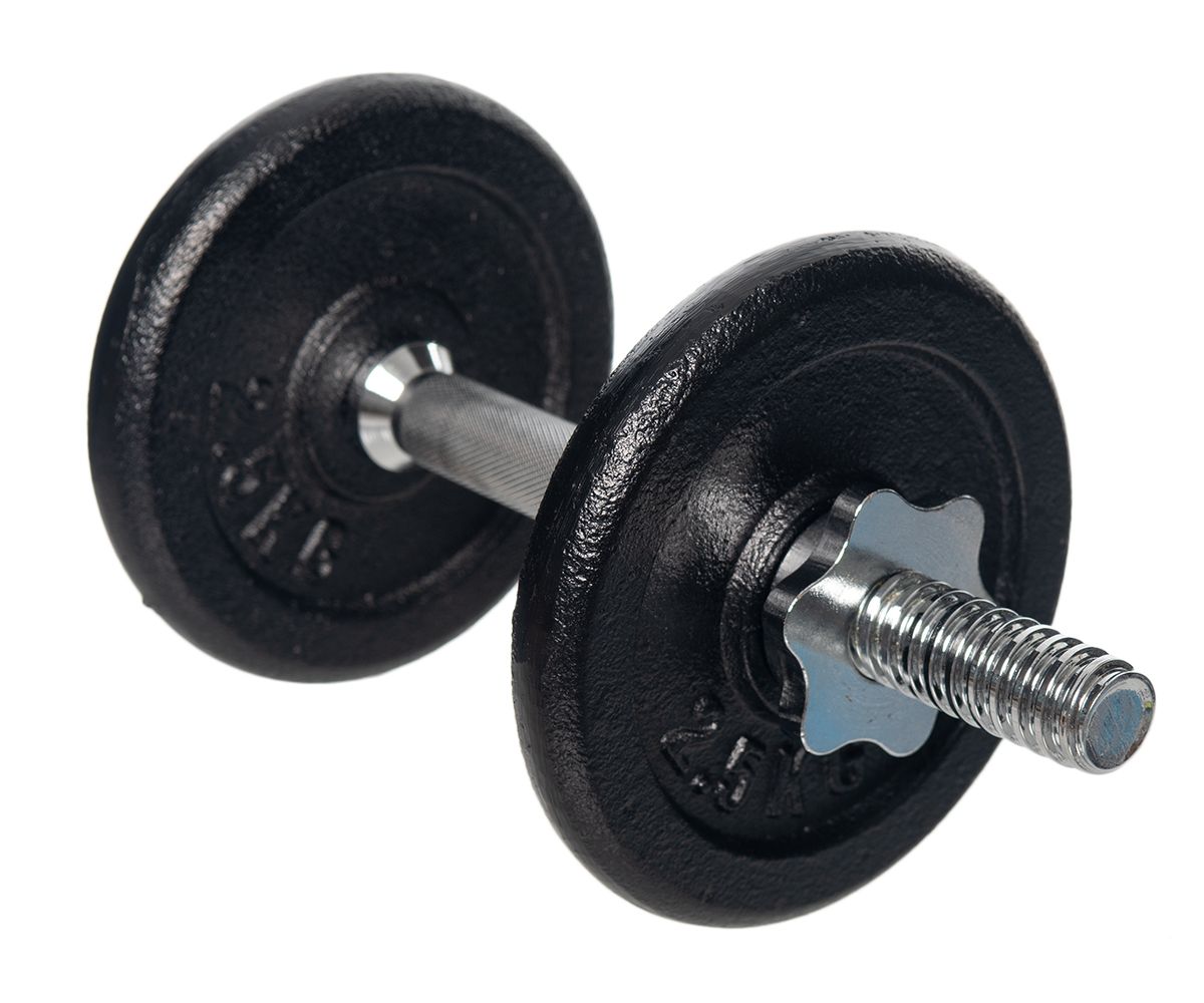 Dumbbells for sale online takealot