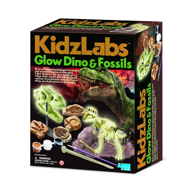 4M Glow Dino &amp; Fossils