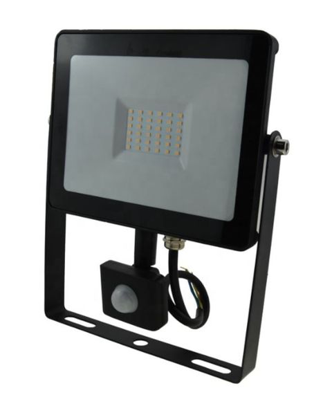 30W Flood Light with Motion Sensor