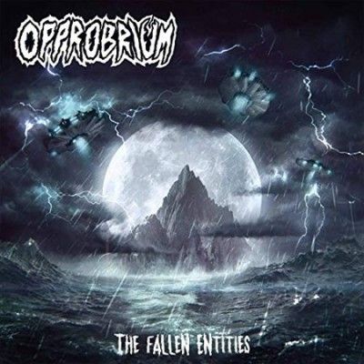 The Fallen Entities (Vinyl / 12" Album)