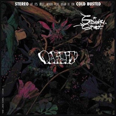 Defizit - Growth Spurt (Vinyl)
