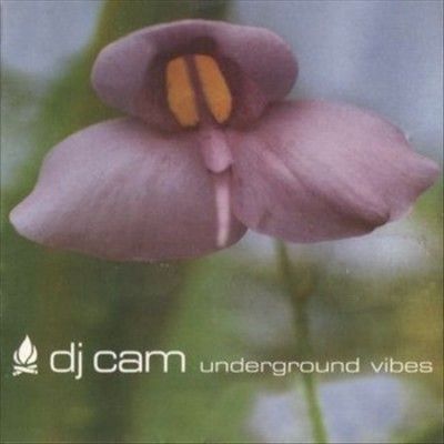 Dj Cam - Underground Vibes (Vinyl)