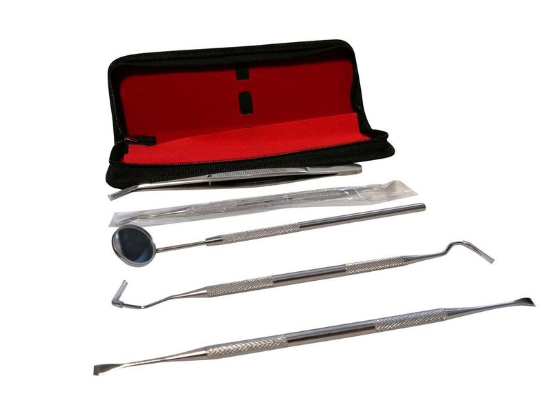 5 pc Dental Tool Set for Humans and Pets - Stainless Steel