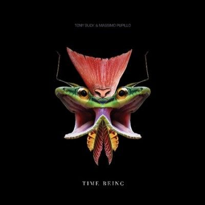 Tony Buck - Time Being (Vinyl)