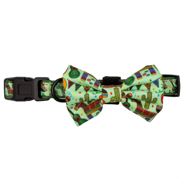 Striped Fiesta - Collar and Bowtie