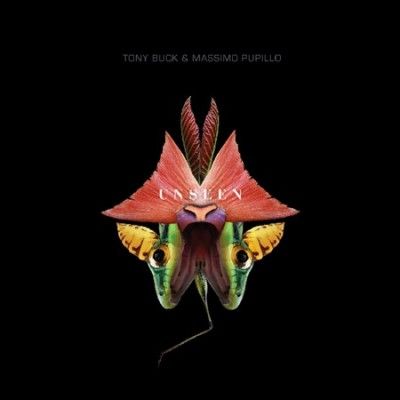 Tony Buck - Unseen (CD)