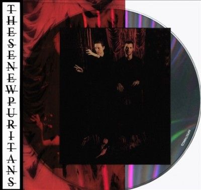 These New Puritans - Inside The Rose (CD)