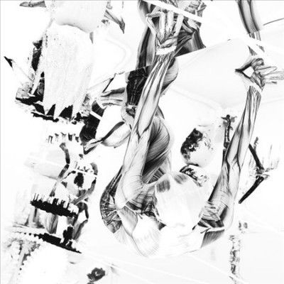 Belp - Crocodile (Vinyl)