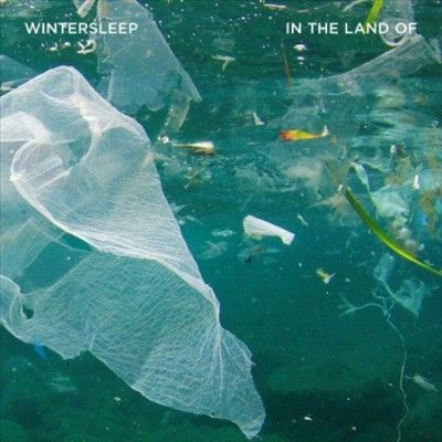 Wintersleep - In The Land Of (Vinyl)