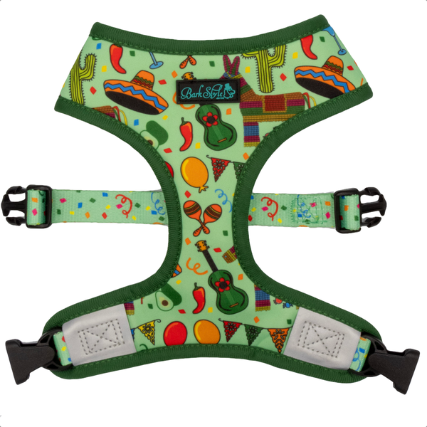 Striped Fiesta - Reversible Harness