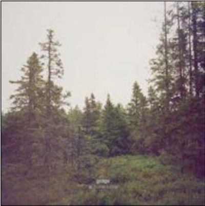 Gidge - Autumn Bells (Vinyl)