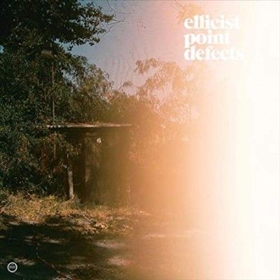 Ellicist - Point Defects (Vinyl)