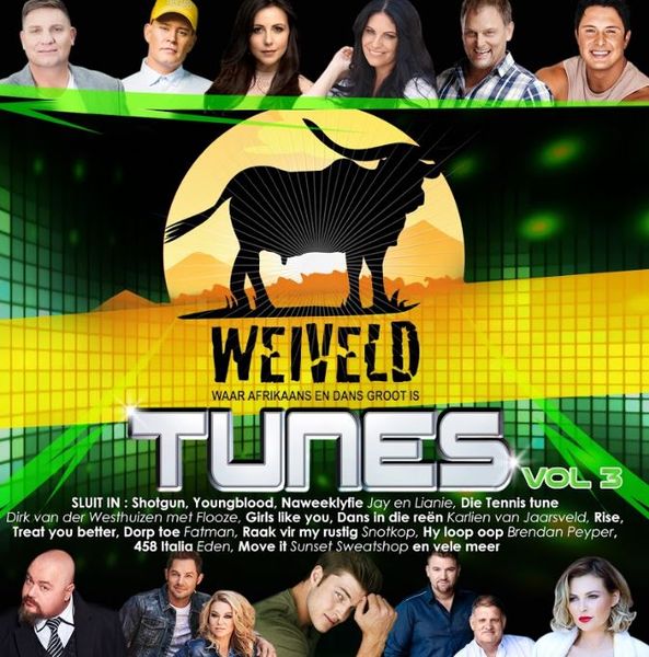 Weiveld Tunes Vol 3 (CD)