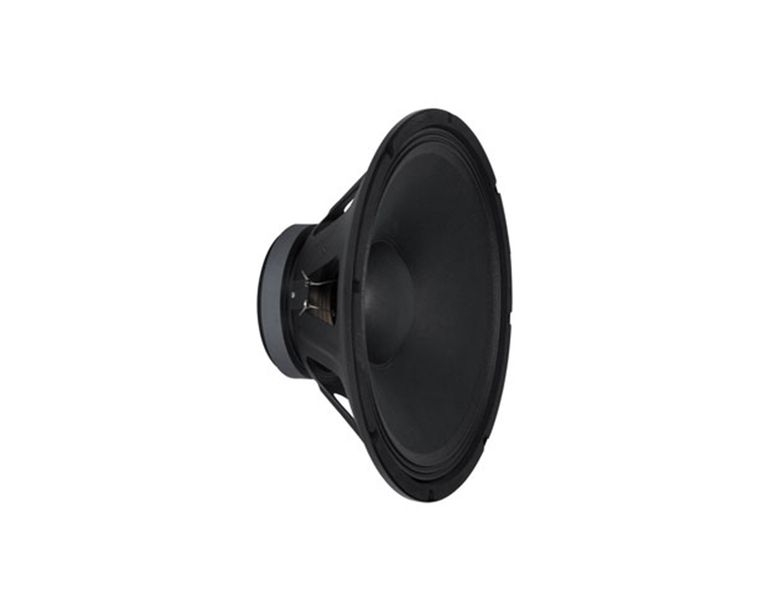 Peavey Pro 12'' Woofer