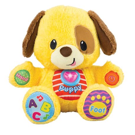 puppy learning toys