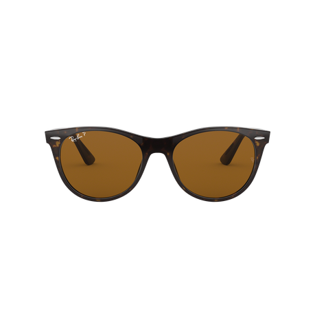 ray ban wayfarer mens polarized