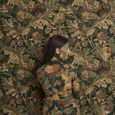 In Plain Sight (CD / Album)