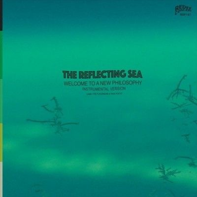 Damu The Fudgemunk - Instrumentals From The Reflecting Sea (Vinyl)