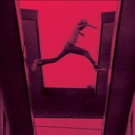 Mos Def - Ecstatic (CD)