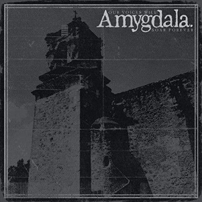 Amygdala - Our Voices Will Soar Forever (Vinyl)